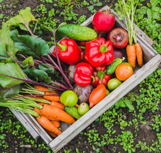 Los 4 grandes beneficios medioambientales de una dieta vegana